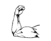Muscle Mass Building