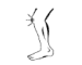 Healthy Joints