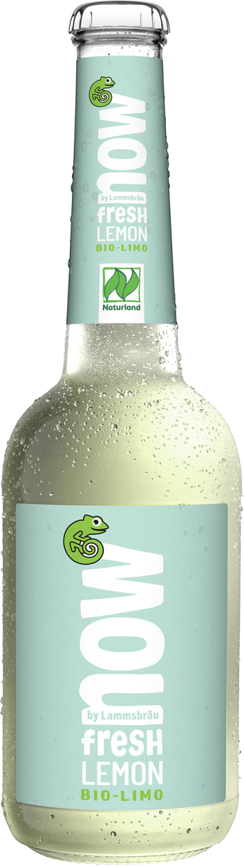 Now napój gazowany o smaku owoców cytrusowych bio 330 ml