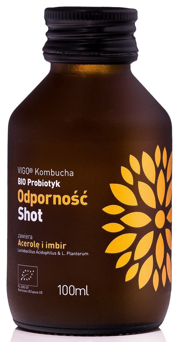 Vigo shot kombucha probiotyk odporność bezglutenowy bio 100 ml