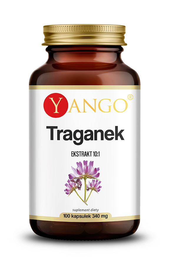 YANGO Astragalus - Traganek (100 kaps.)