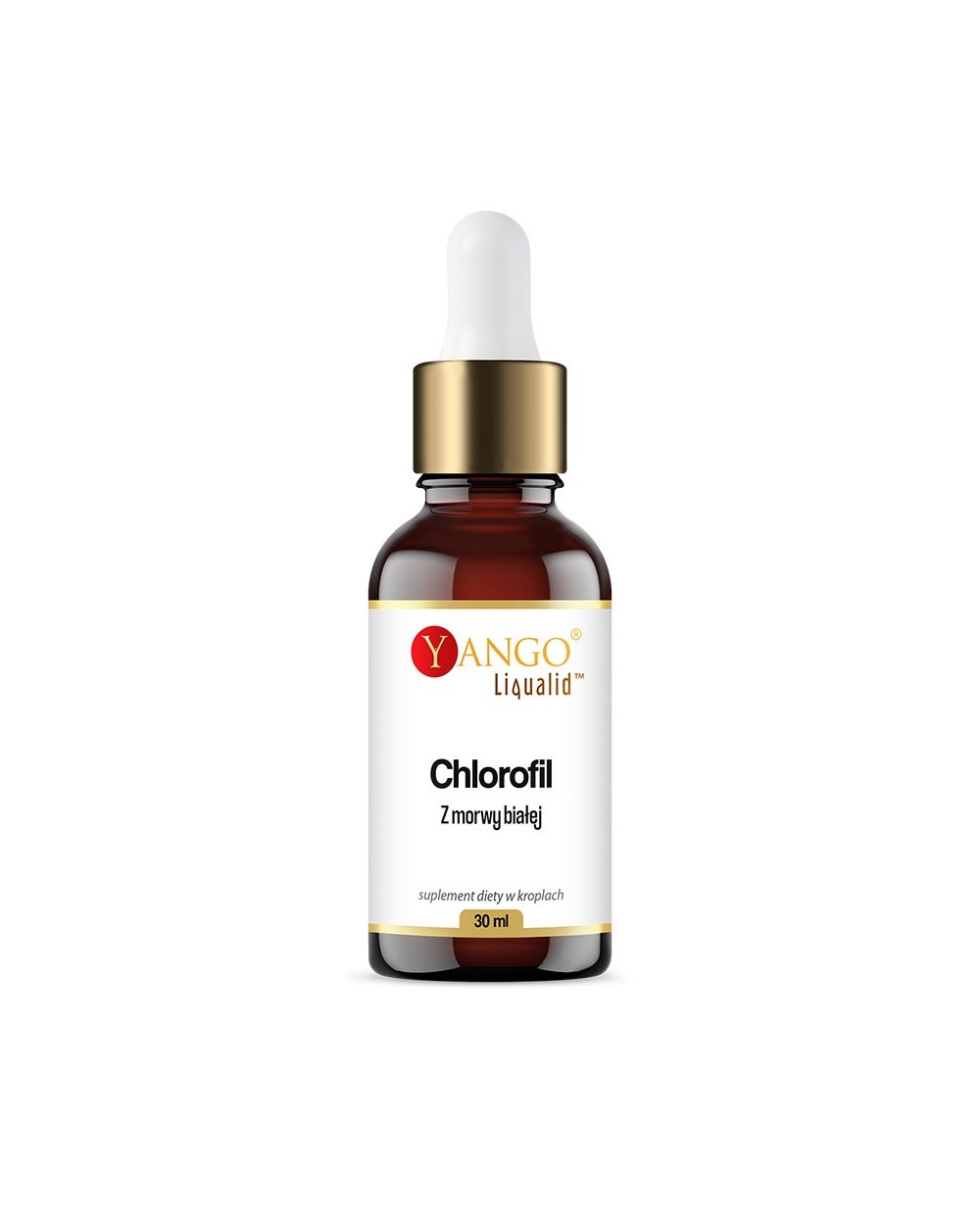 YANGO Chlorofil z morwy białej w kroplach (30 ml)
