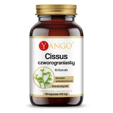 YANGO Cissus Czworograniasty - ekstrakt 10:1 (90 kaps.)