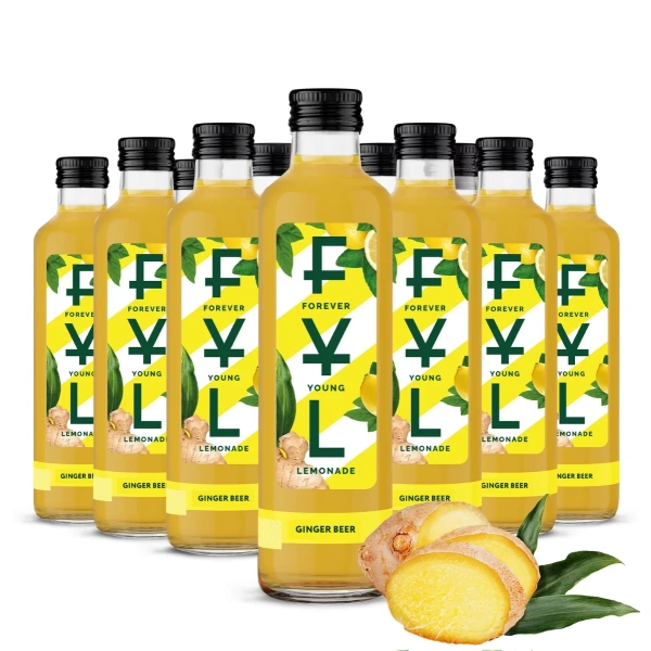 FYK Lemonade Ginger Beer 0,25l