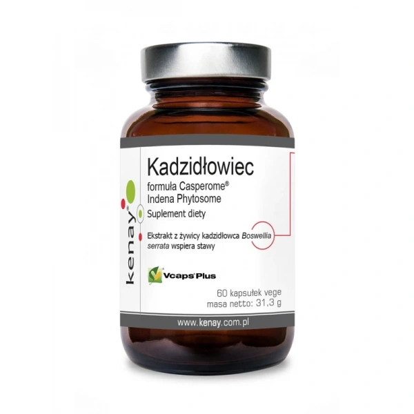 KENAY Kadzidłowiec Casperome Indena Phytosome - ekstrakt (60 kaps.)