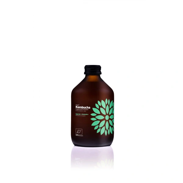 Vigo kombucha z ogórkiem i kolendrą bezglutenowa bio 330 ml