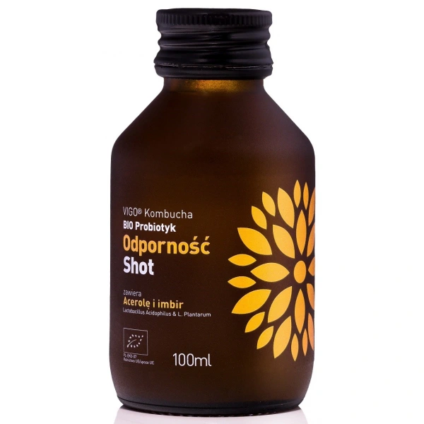 Vigo shot kombucha probiotyk odporność bezglutenowy bio 100 ml
