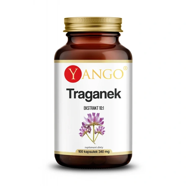 YANGO Astragalus - Traganek (100 kaps.)