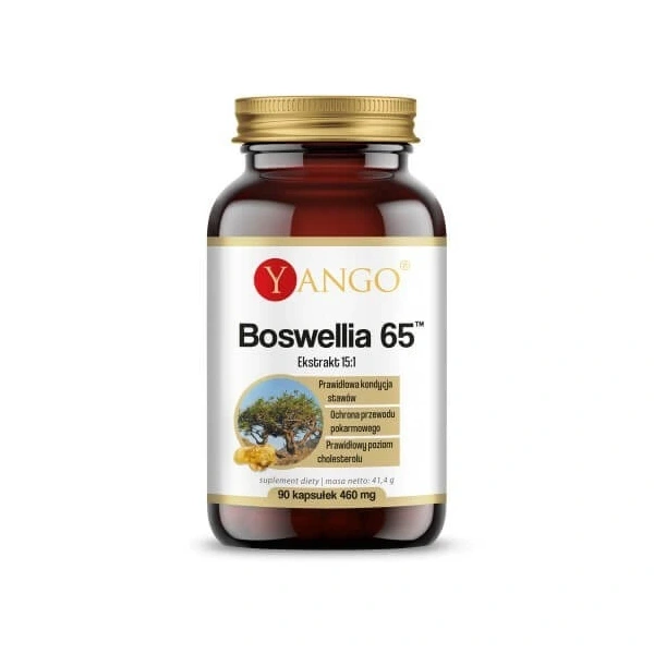 YANGO Boswellia 65 (90 kaps.)