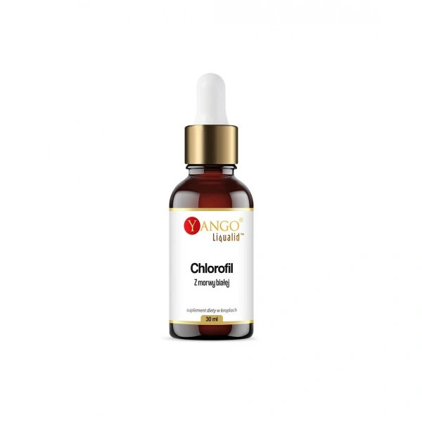 YANGO Chlorofil z morwy białej w kroplach (30 ml)