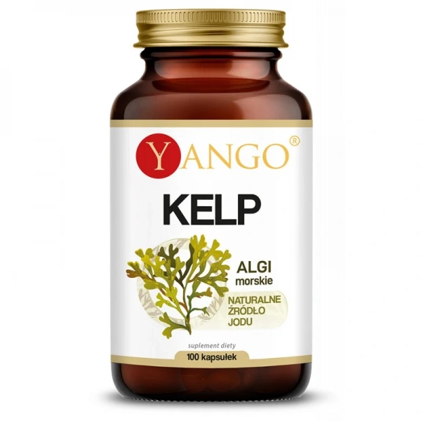 YANGO Kelp (100 kaps.)