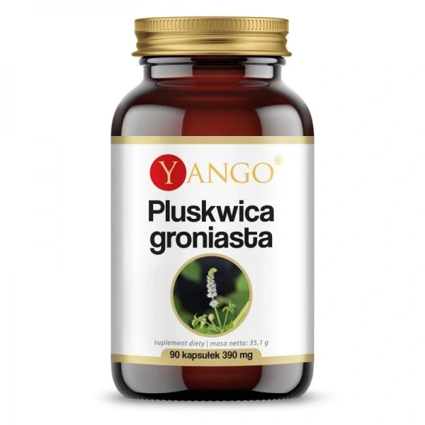 YANGO Pluskwica Groniasta (90 kaps.)