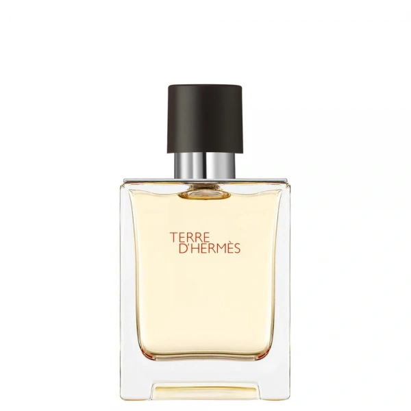 Hermes Terre D`Hermes Woda toaletowa for Man - 50ml