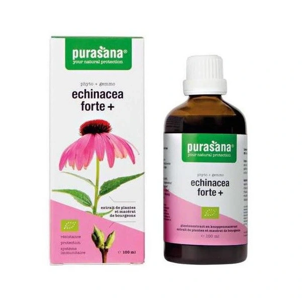 Jeżówka purpurowa (echinacea forte) krople bio 100 ml - purasana