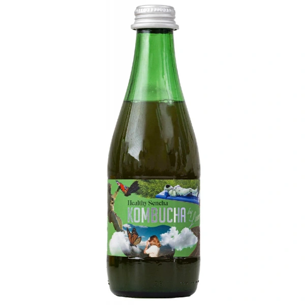 Kombucha healthy sencha bio 330 ml - kombucha by laurent