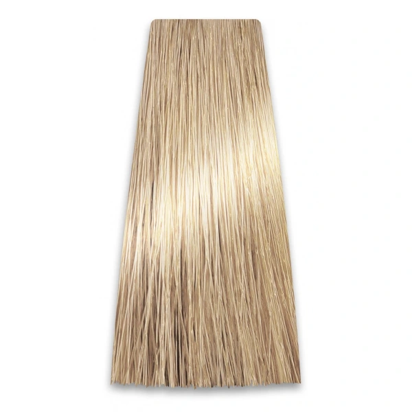PROSALON Intensis Color Art Profesjonalna Farba do włosów nr 10.0 bardzo jasny blond 100g