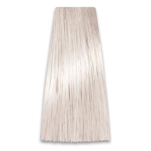 PROSALON Intensis Color Art Profesjonalna Farba do włosów nr 10.1 bardzo jasny popielaty blond 100g