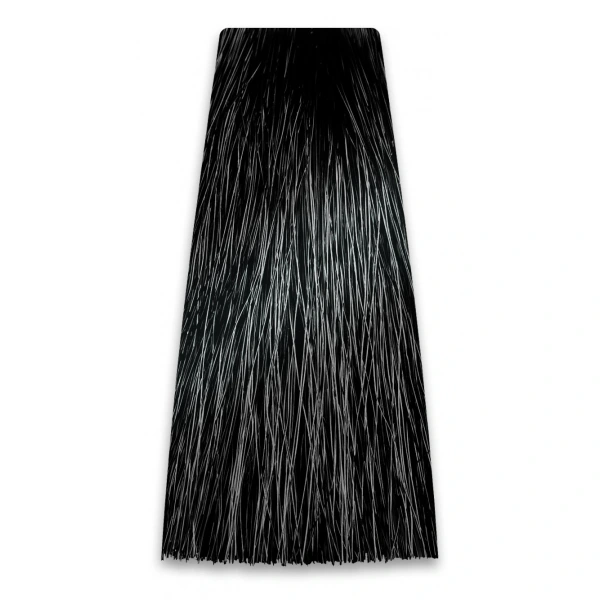 PROSALON Intensis Color Art Profesjonalna Farba do włosów nr 1.0 czarna 100g
