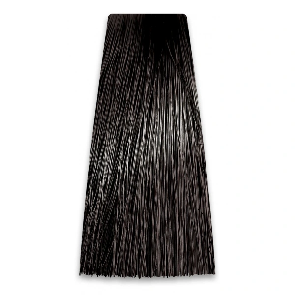 PROSALON Intensis Color Art Profesjonalna Farba do włosów nr 2.0 bardzo ciemny brąz 100g