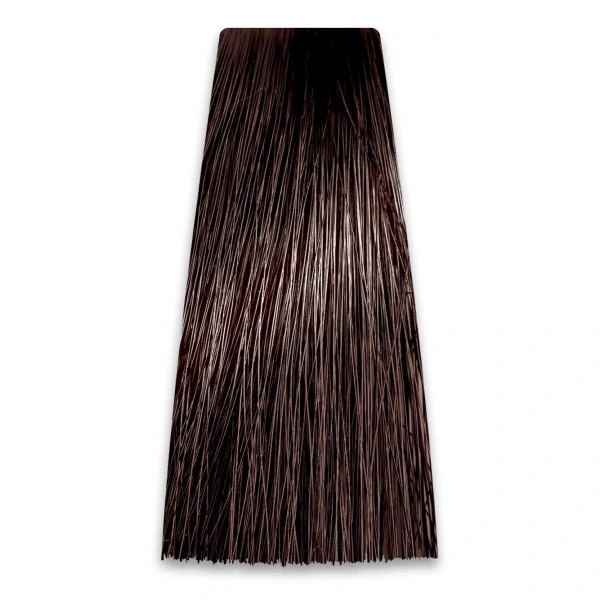PROSALON Intensis Color Art Profesjonalna Farba do włosów nr 4.0 brąz 100g