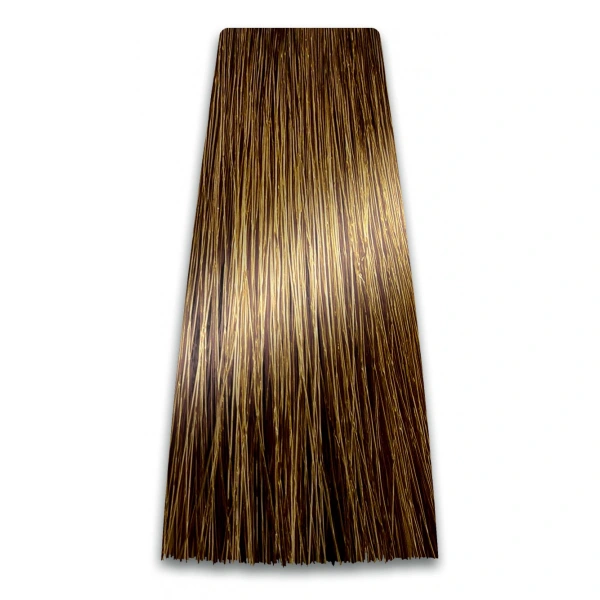 PROSALON Intensis Color Art Profesjonalna Farba do włosów nr 9.00 podwójny jasny blond 100g