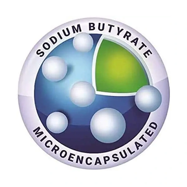 ALINESS Sodium Butyrate (Butyric Acid) 100 Vegetarian Capsules