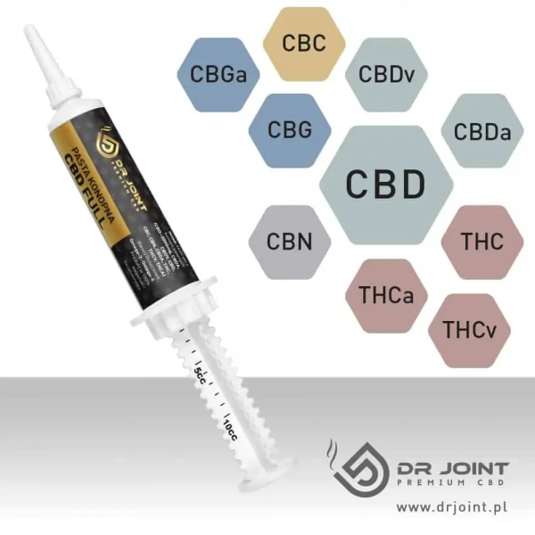DR Joint Hemp Paste 30% (3000mg CBD) Full Spectrum 10g