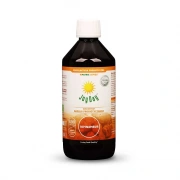 LIVING FOOD Koncentrat probiotyczny JOY DAY Topinambur 500ml