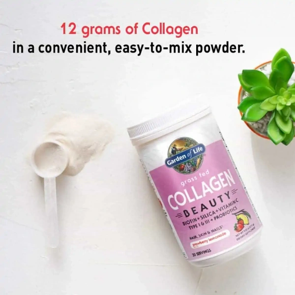 GARDEN OF LIFE Collagen Beauty Strawberry Lemonade (Skin, Hair, Joints) 270g