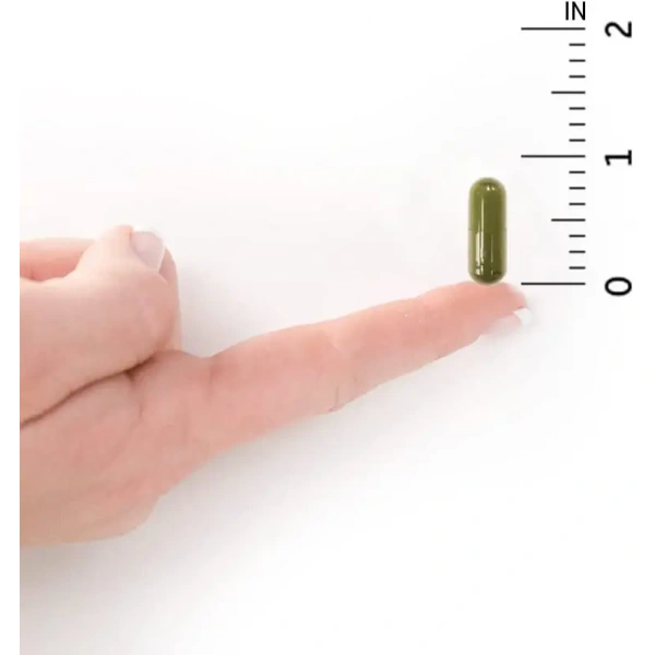 GARDEN OF LIFE Vitamin Code RAW D3 2000 IU 60 Vegetarian capsules