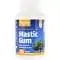 JARROW FORMULAS Mastic Gum (Guma mastyksowa) 120 Tabletek