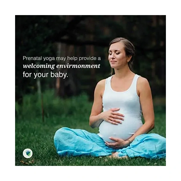 SEEKING HEALTH Optimal Prenatal Powder (Wsparcie dla kobiet w ciąży) 649g Wanilia