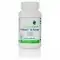 SEEKING HEALTH ProBiota 12 Powder (Probiotyk) 64g Suplement diety