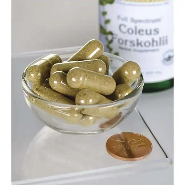 SWANSON Coleus Forskohlii (Ayurvedic Herb) 400mg - 60 capsules