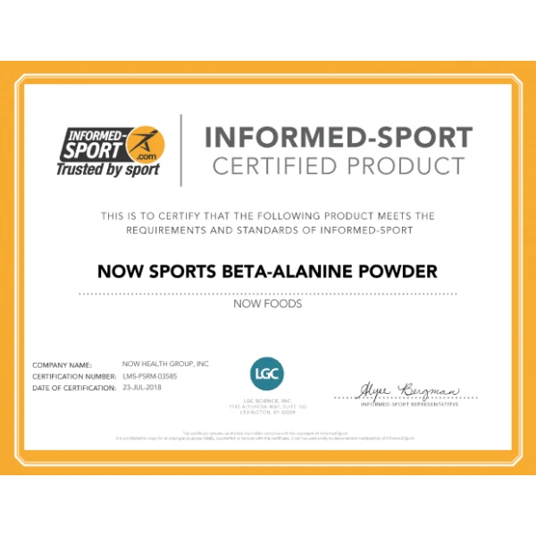 NOW SPORTS Beta-Alanine Powder 500g