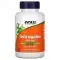 NOW FOODS Astragalus 500mg (Immune System Support) 100 Vegetarian Capsules