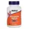 NOW FOODS Chondroitin Sulfate 600mg (Advanced Joint Support) 120 Capsules