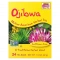 NOW FOODS Ojibwa Tea (Herbata ziołowa rdzennych Amerykanów) 24 Torebki
