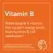 NOW FOODS Vitamin B-100 (Comprehensive Vitamin B Set) 250 Vegetarian Capsules