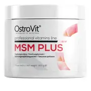 OSTROVIT MSM Plus 300g